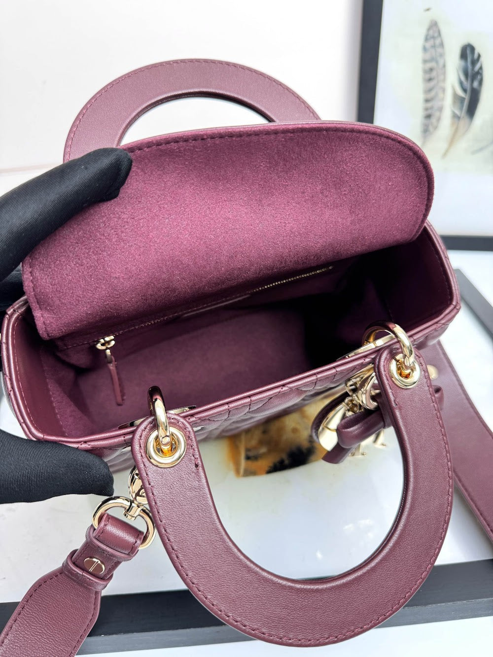 Anum Bags Diorn Luxury Bag --114945