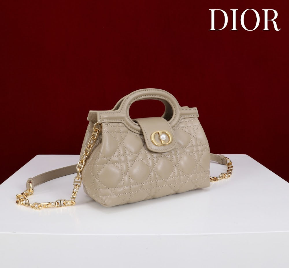 Anum Bags Diorn Luxury Bag --114562