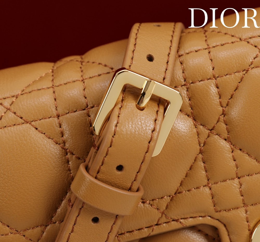 Ezyycart Bags Diorn Luxury Bag --116387