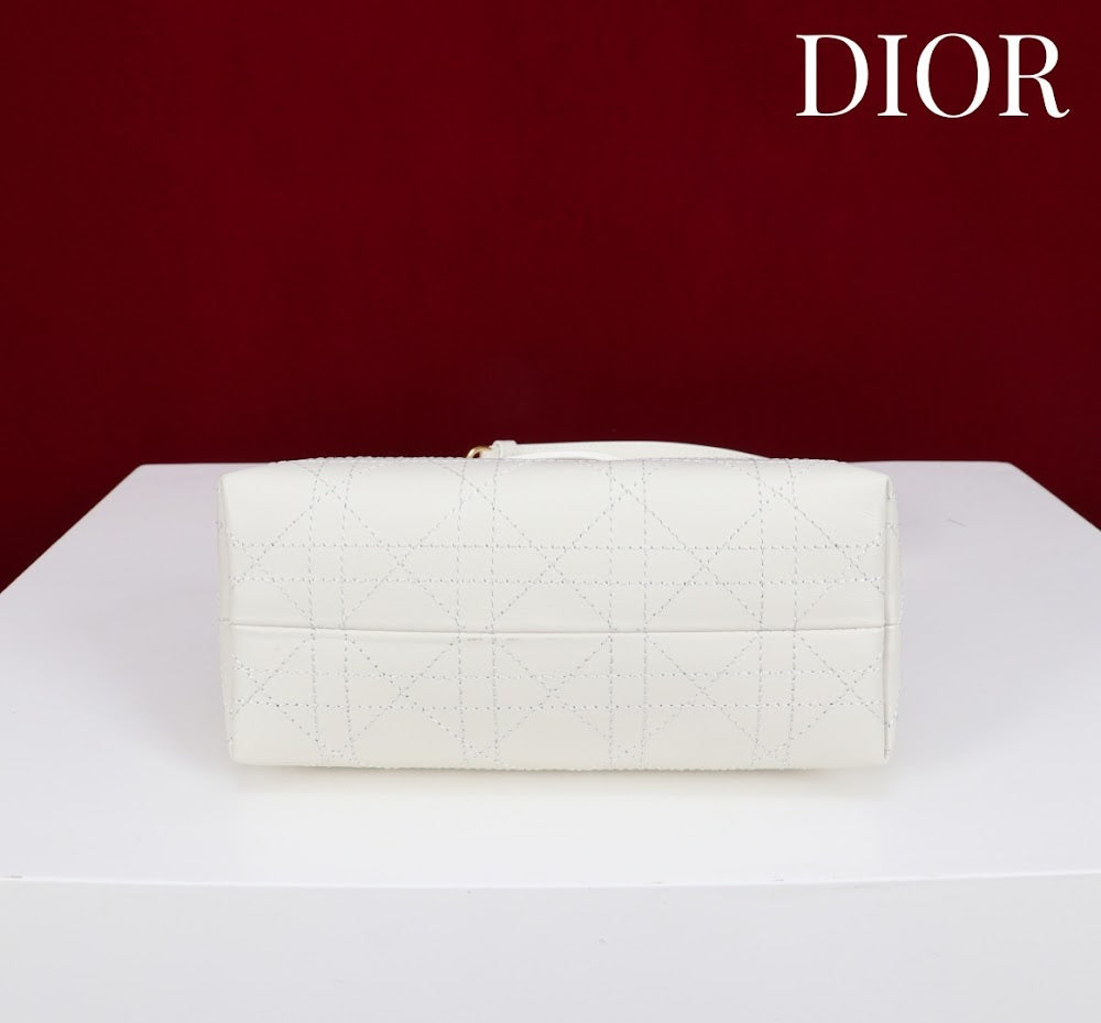 Anum Bags Diorn Luxury Bag --114555