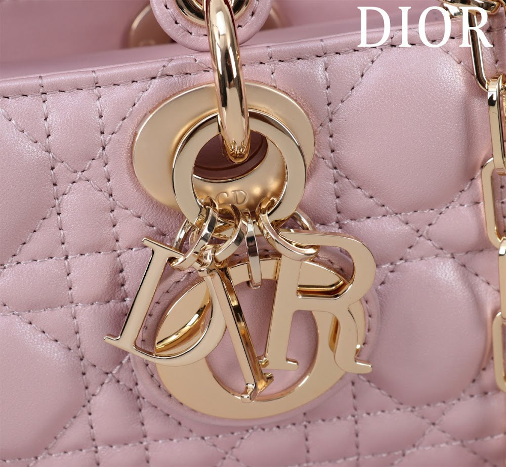 Anum Bags Diorn Luxury Bag --114723