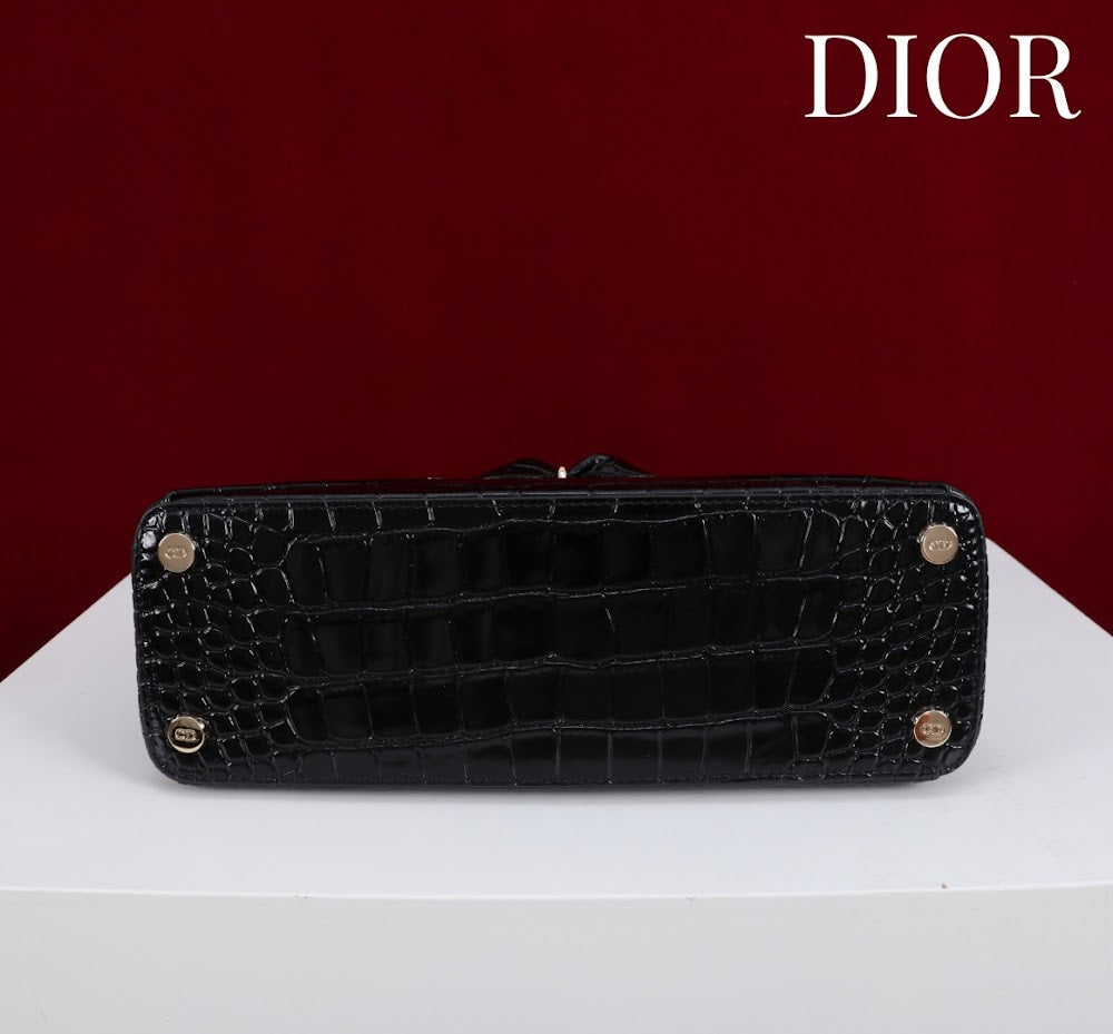 Anum Bags Diorn Luxury Bag --114796