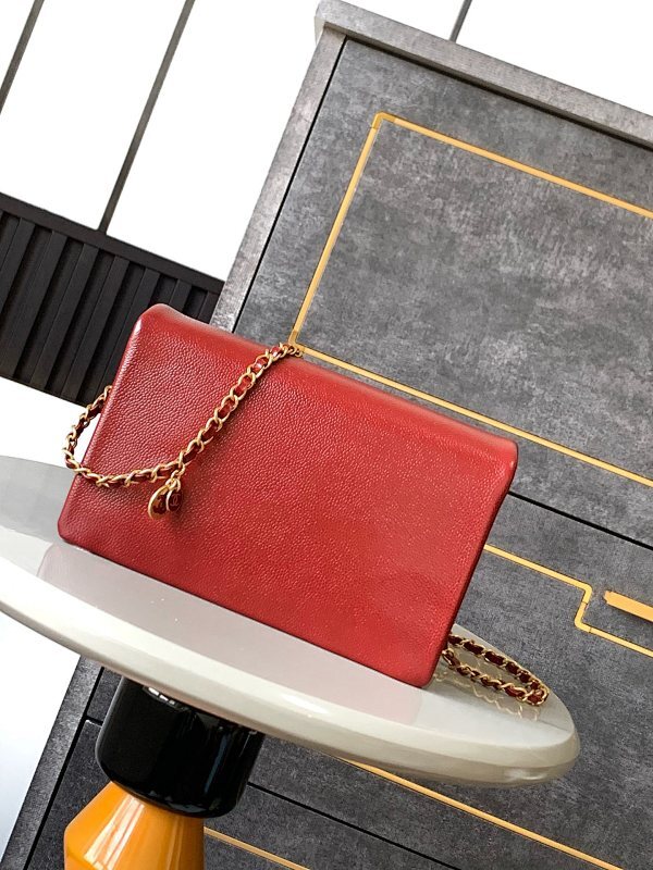 new-luxury-designer-bags-nm20014