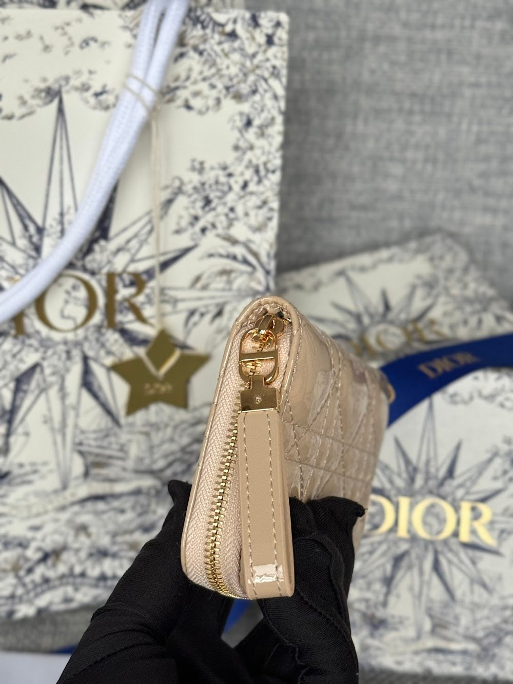 Anum Bags Diorn Luxury Bag --114613