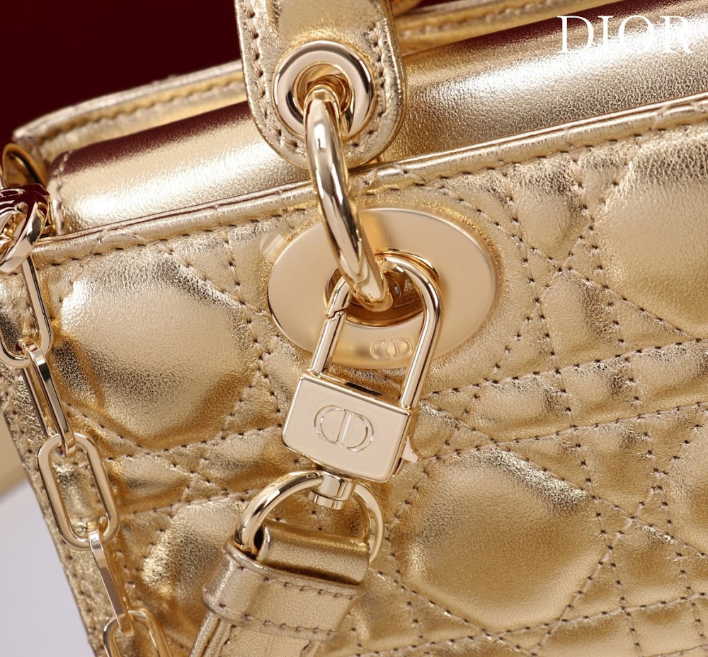 Anum Bags Diorn Luxury Bag --114716