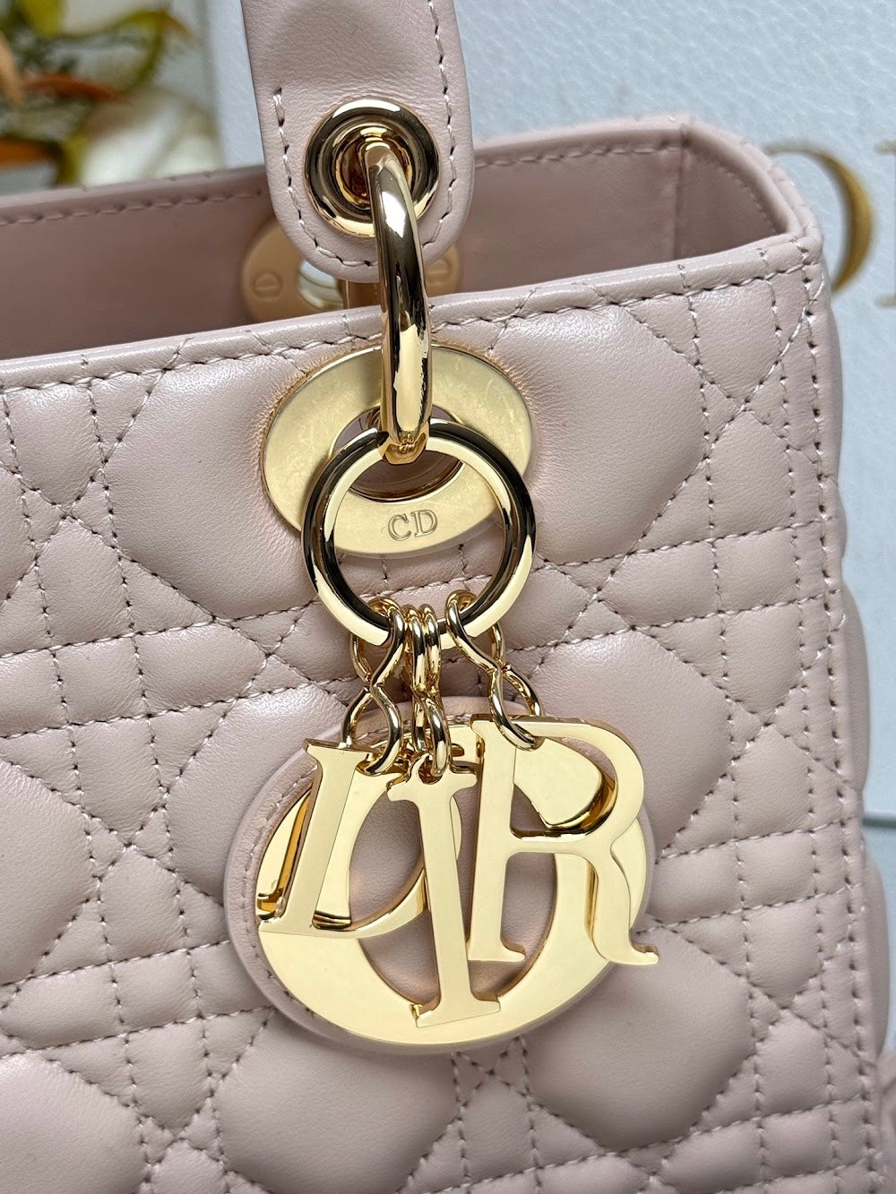 Ezyycart Bags Diorn Luxury Bag --116019
