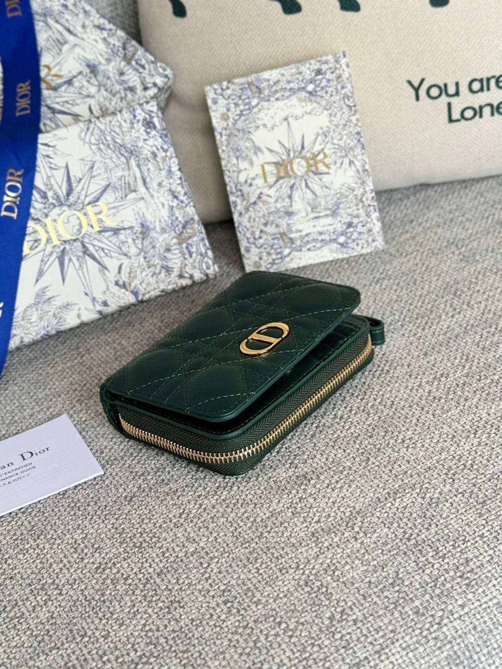 Ezyycart Bags Diorn Luxury Bag --115115