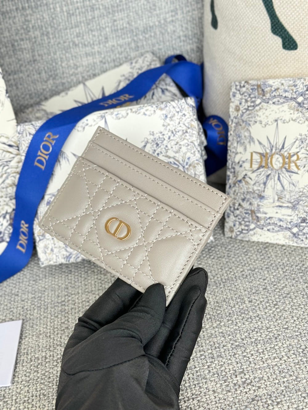 Anum Bags Diorn Luxury Bag --114524