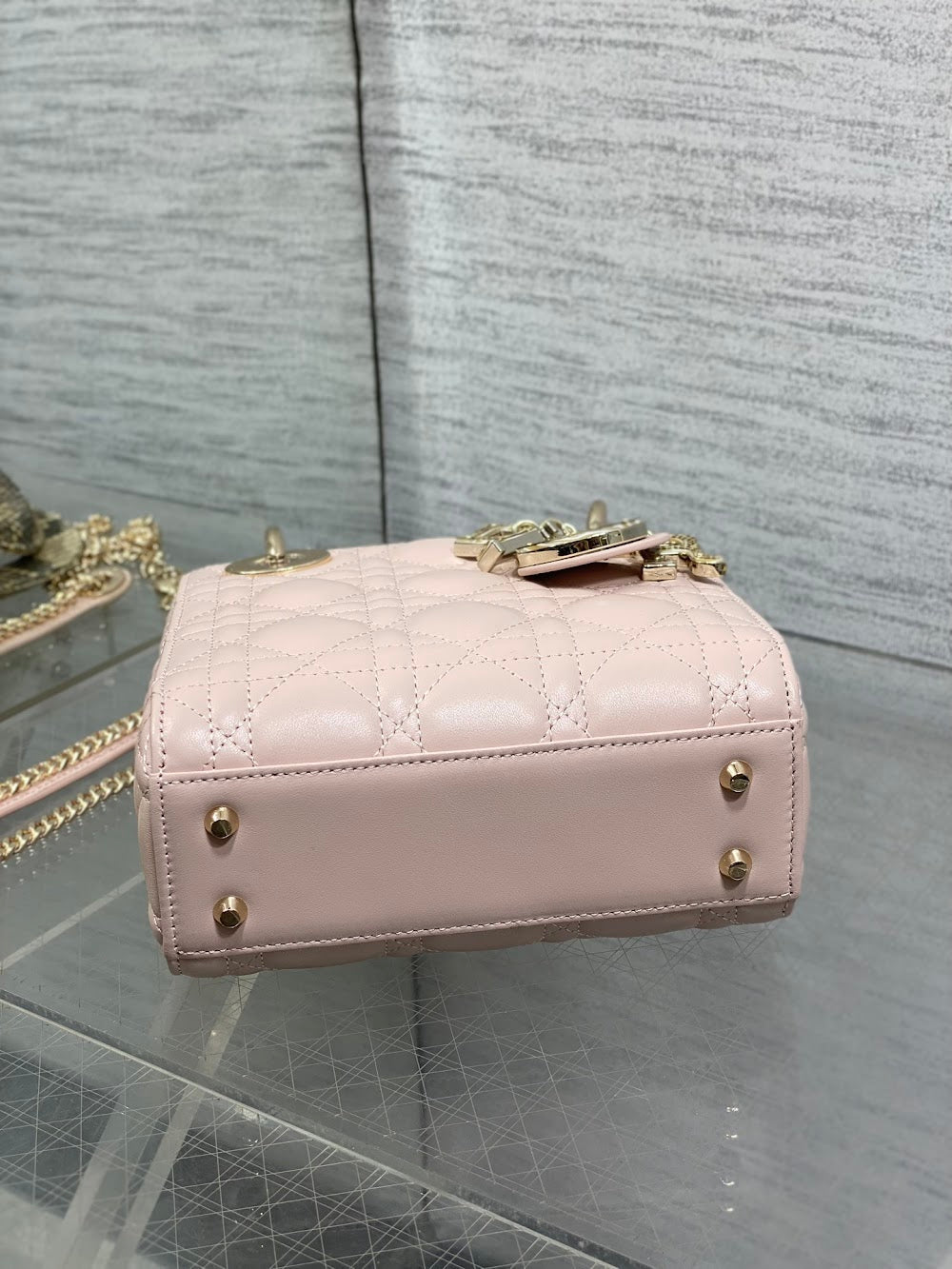 Ezyycart Bags Diorn Luxury Bag --115232