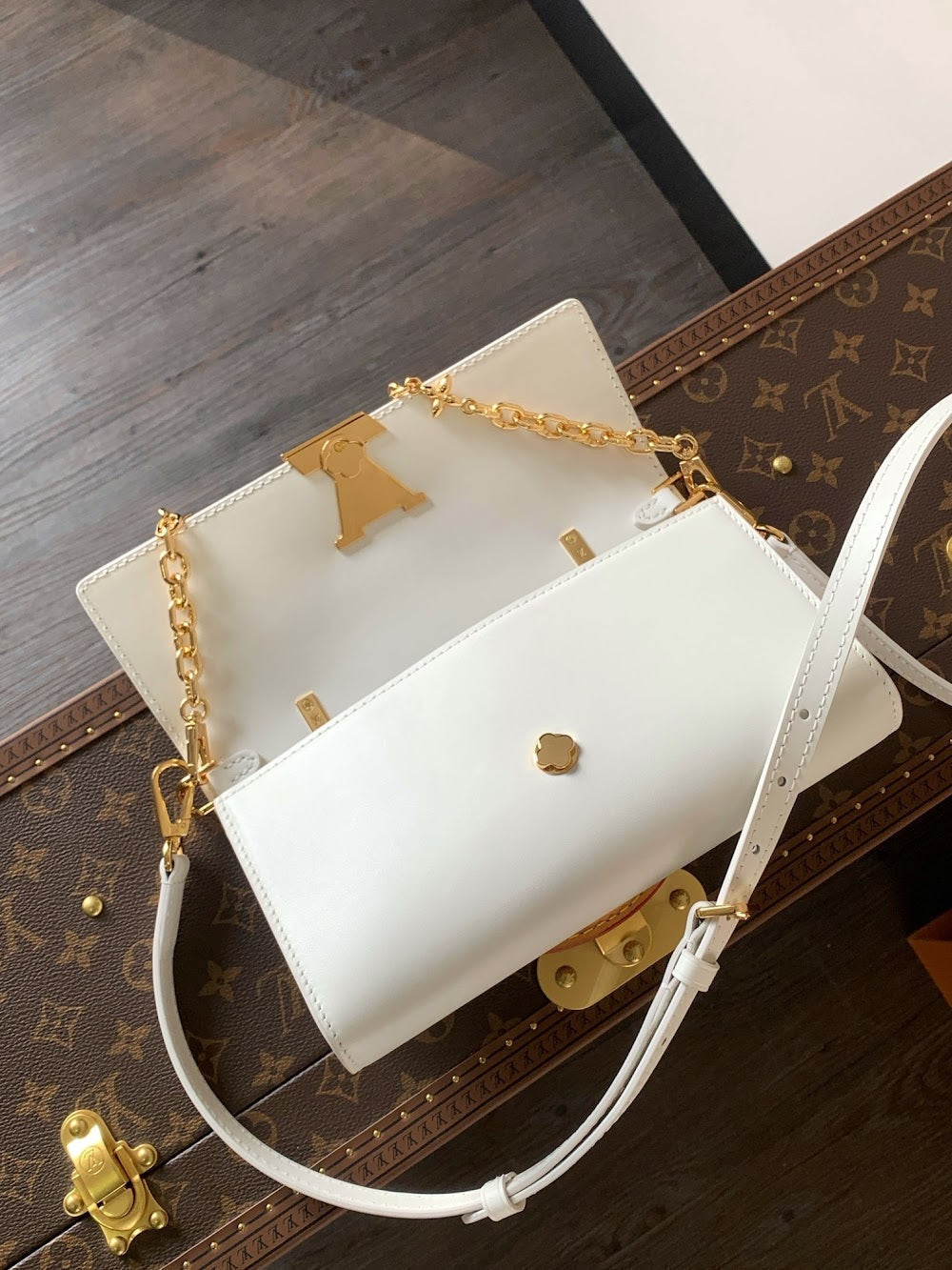 Anum Bags LVn Luxury Bag --81107