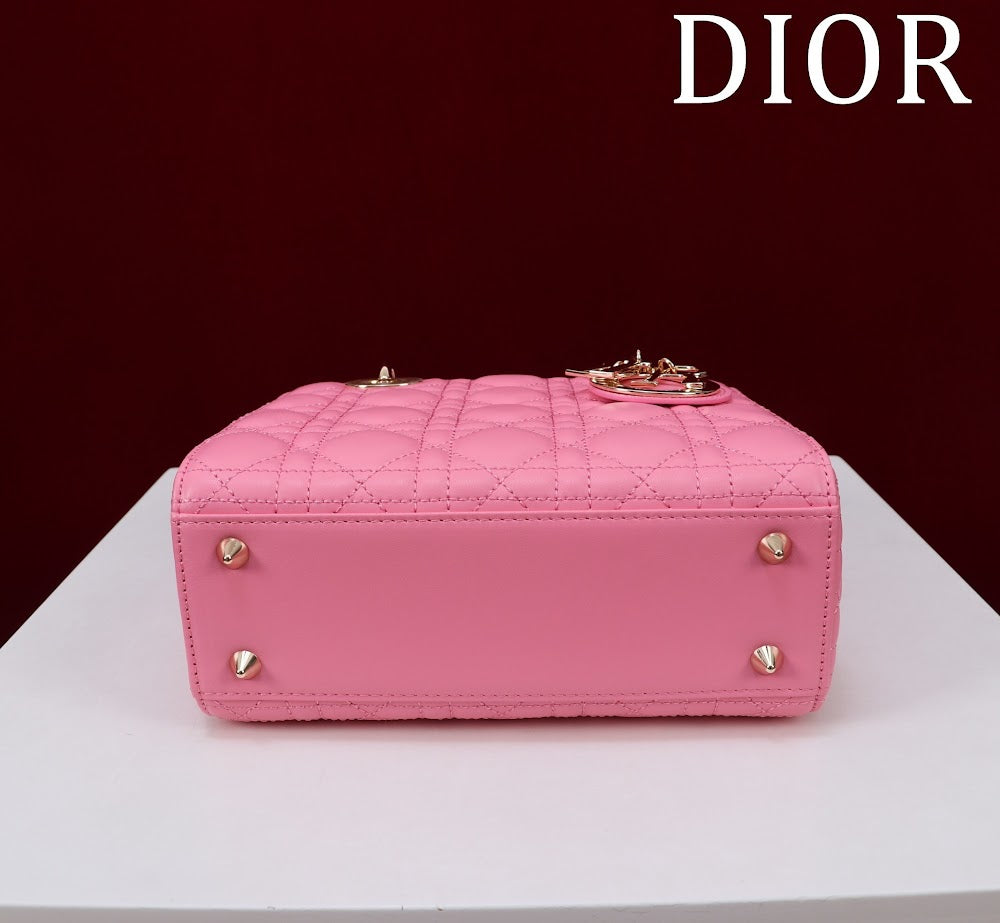 Ezyycart Bags Diorn Luxury Bag --115917