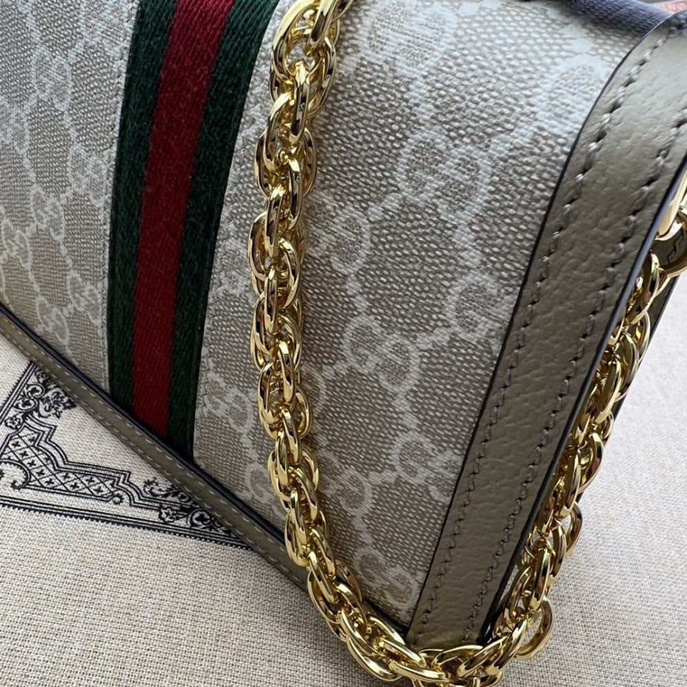 Ezyycart Bags Guccin Luxury Bag --94759