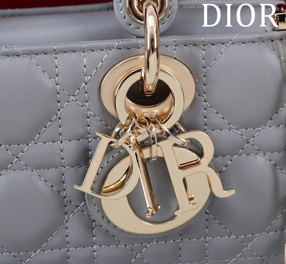 Anum Bags Diorn Luxury Bag --114724
