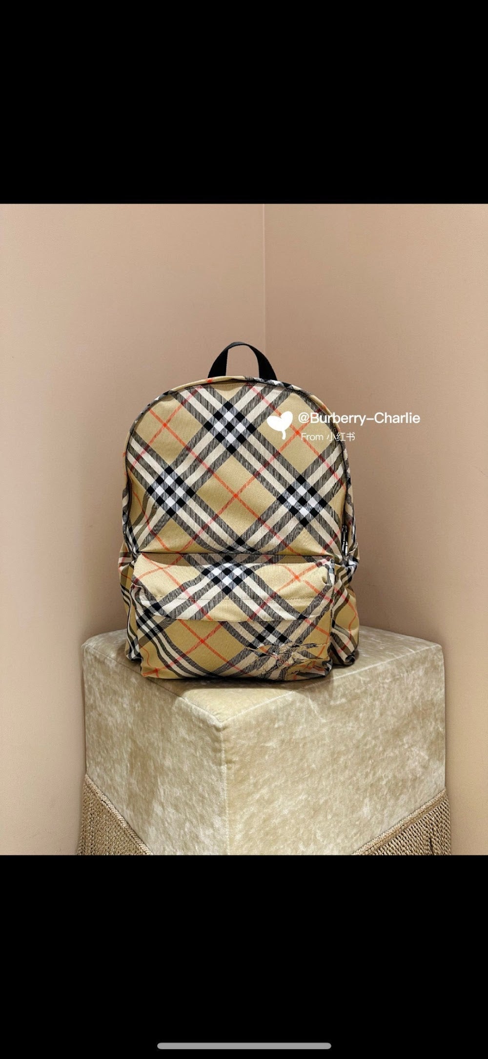 Ezyycart Bags Burberryn Luxury Bag --93119