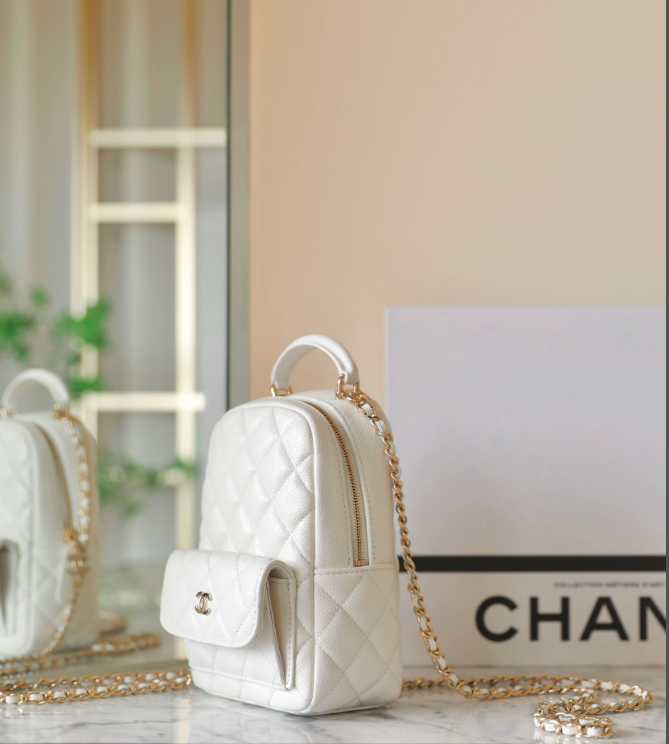 new-luxury-designer-bags-nm10221