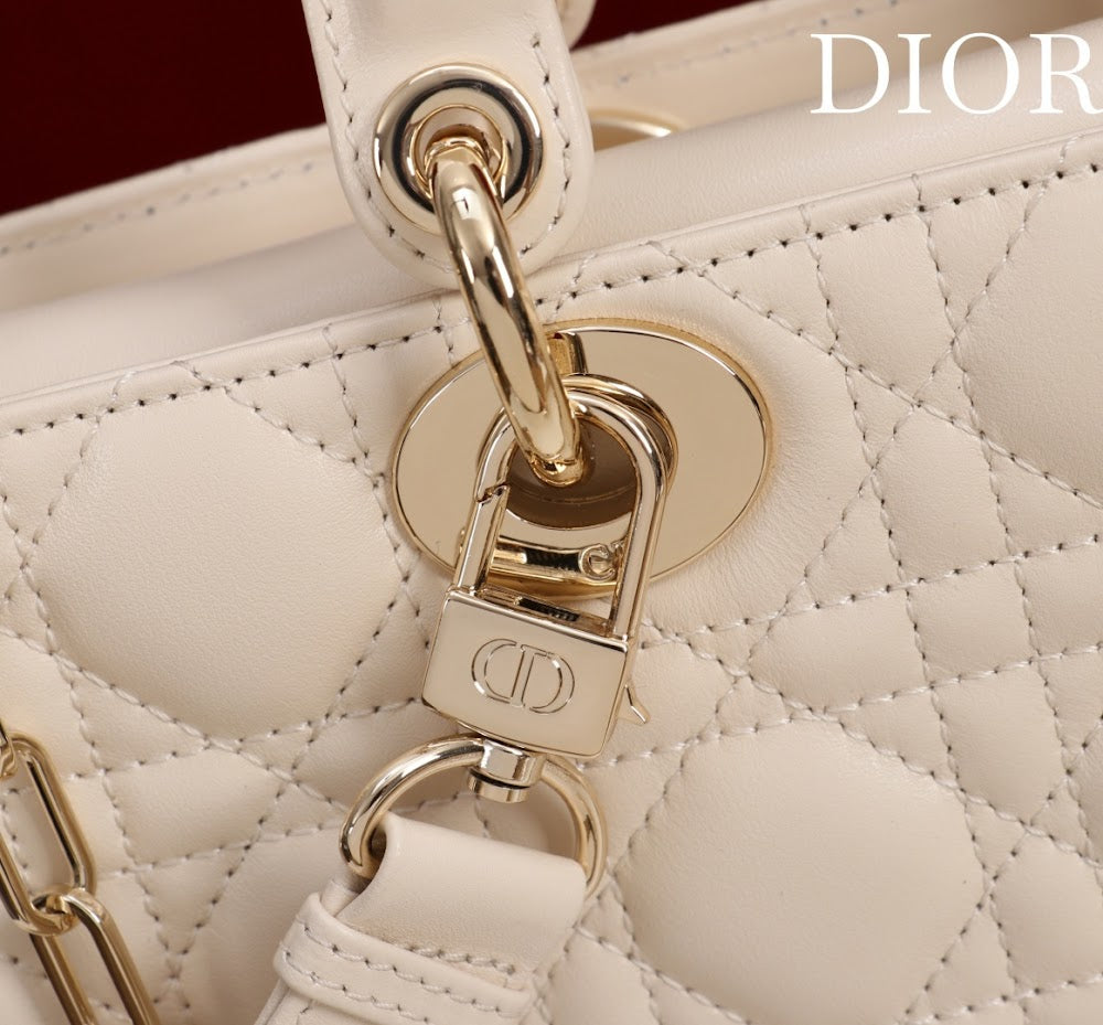 Ezyycart Bags Diorn Luxury Bag --115621