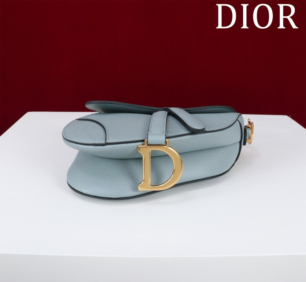 Ezyycart Bags Diorn Luxury Bag --116505