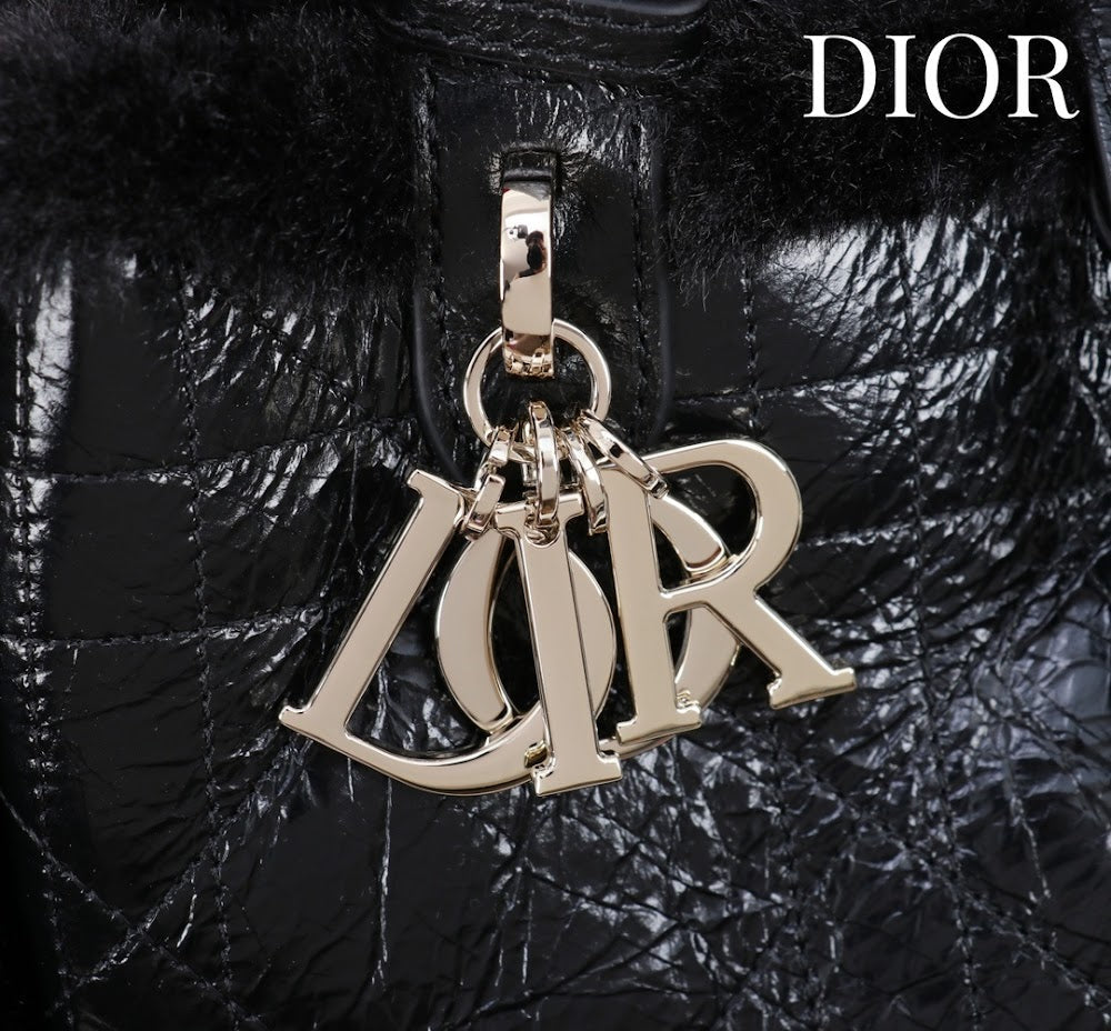 Ezyycart Bags Diorn Luxury Bag --116119