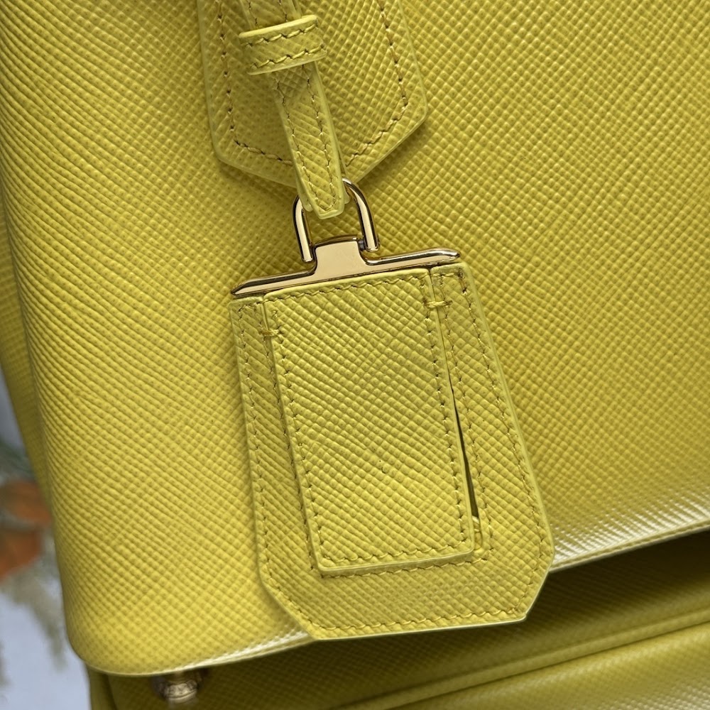 Ezyycart Bags Pradn Luxury Bag --102318