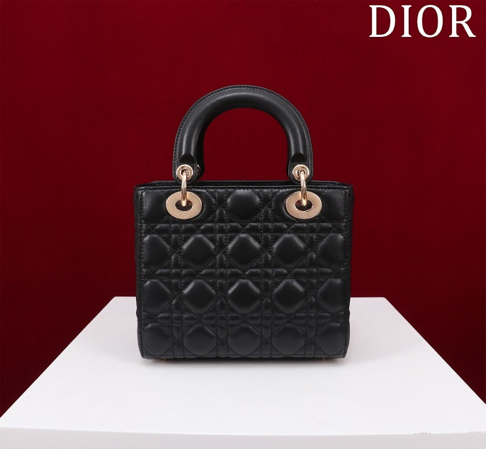Ezyycart Bags Diorn Luxury Bag --115923