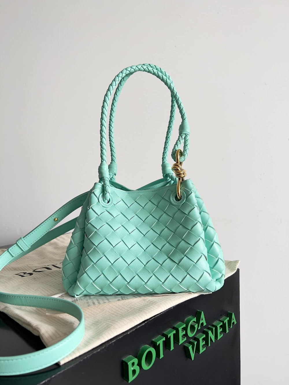 Ezyycart Bags Bottegan Luxury Bag --90954