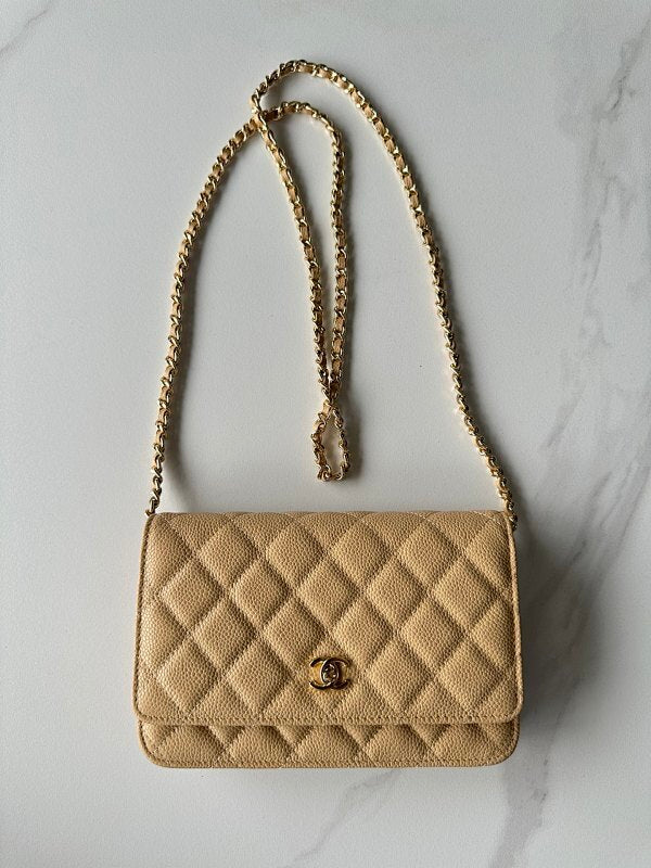 new-luxury-designer-bags-nm20293