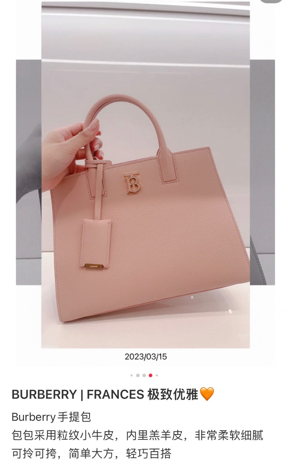 Ezyycart Bags Burberryn Luxury Bag --91814
