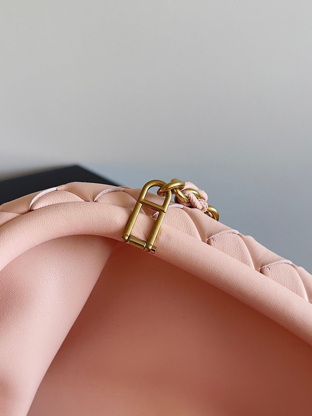 Ezyycart Bags Bottegan Luxury Bag --91288