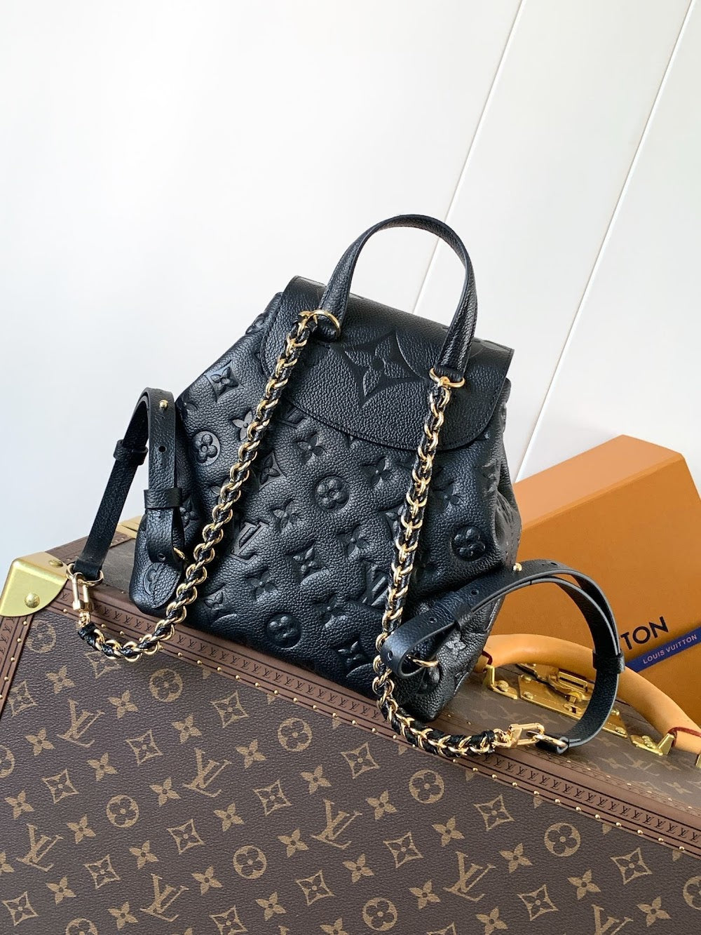 Anum Bags LVn Luxury Bag --79521
