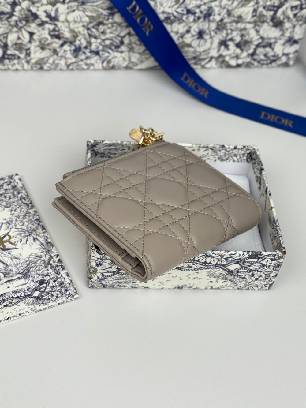 Ezyycart Bags Diorn Luxury Bag --115111
