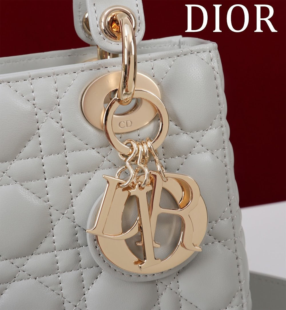Ezyycart Bags Diorn Luxury Bag --115936