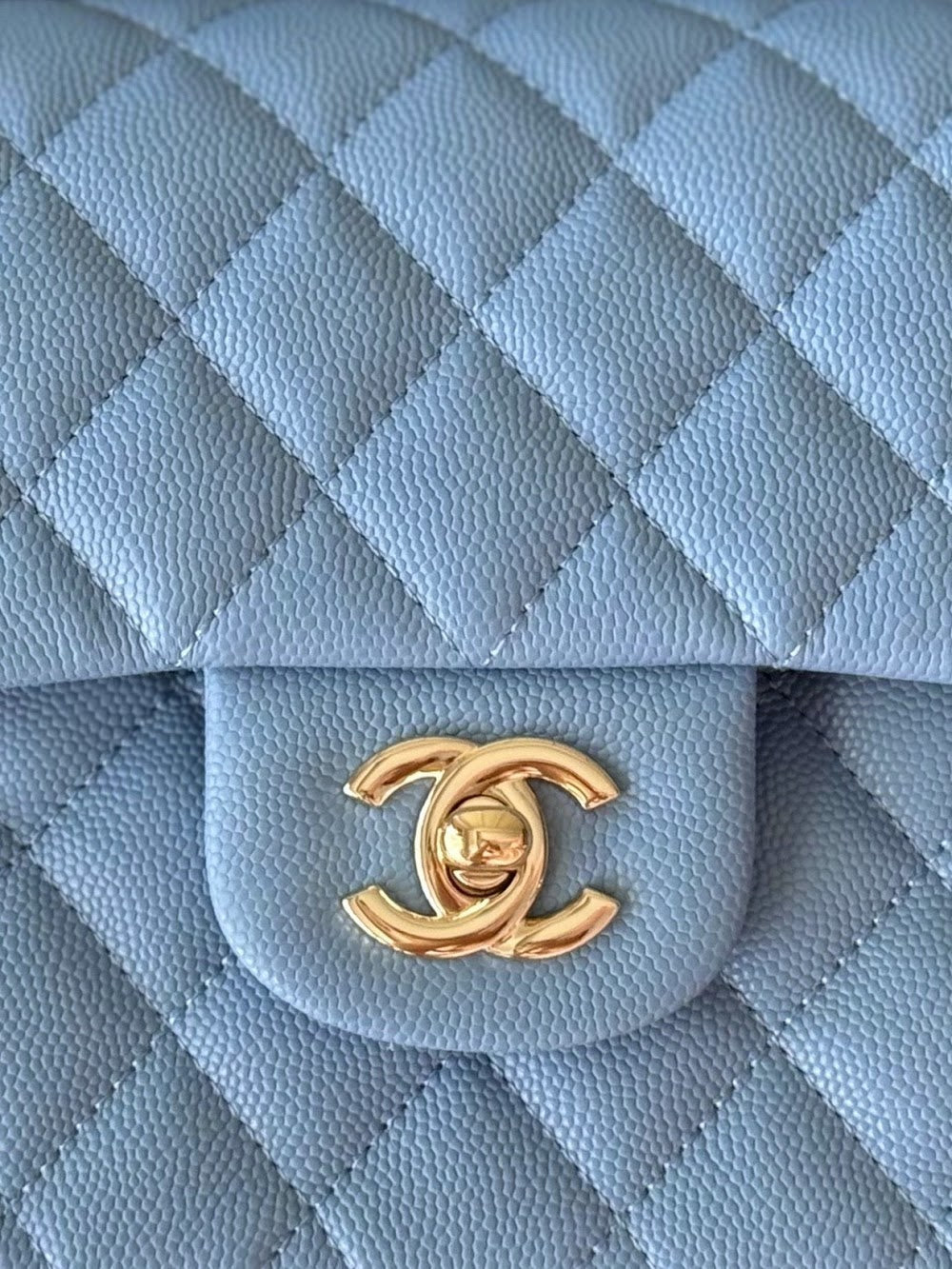 Anum Bags CHn Luxury Bag --112771