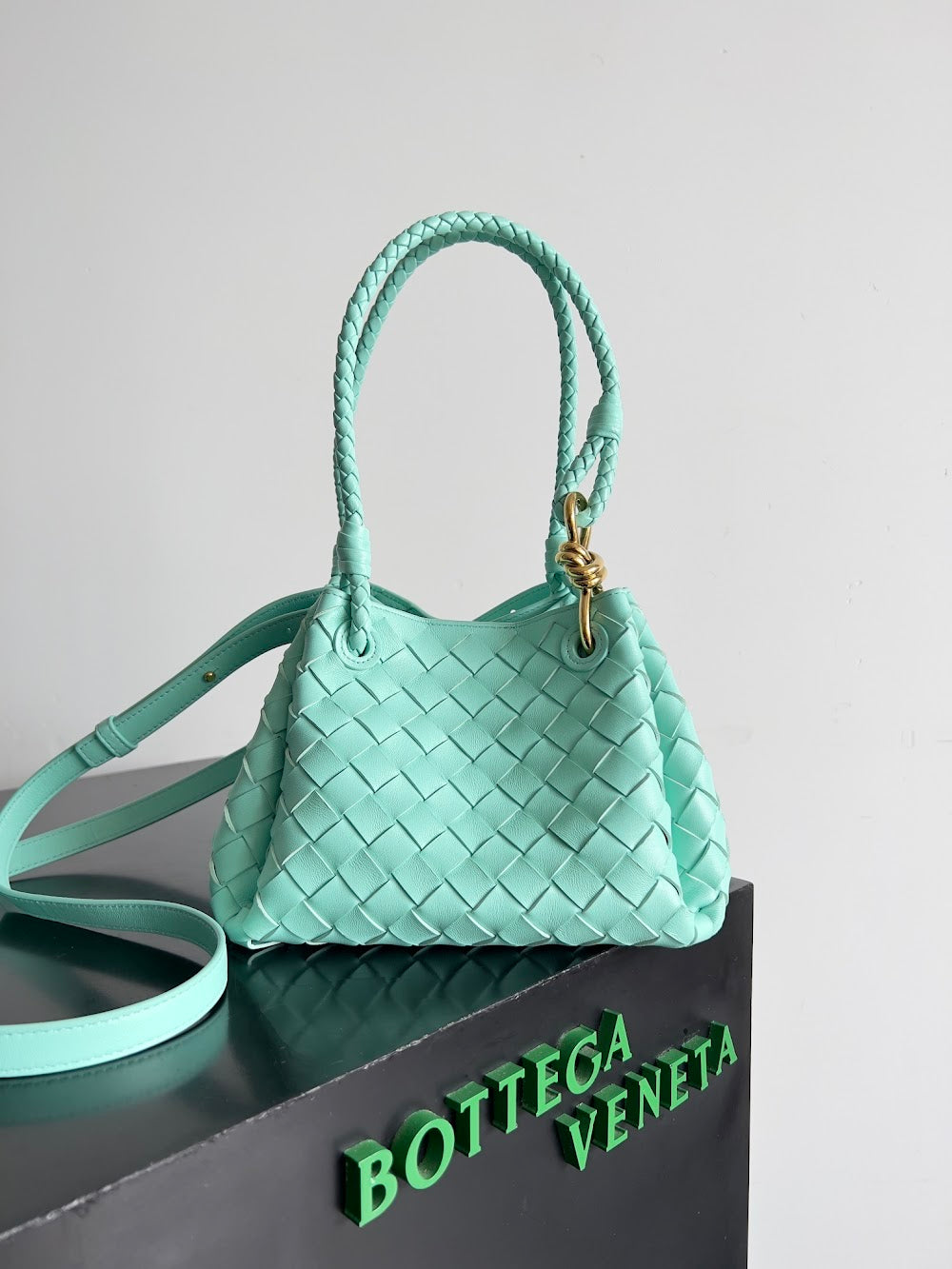 Ezyycart Bags Bottegan Luxury Bag --91083