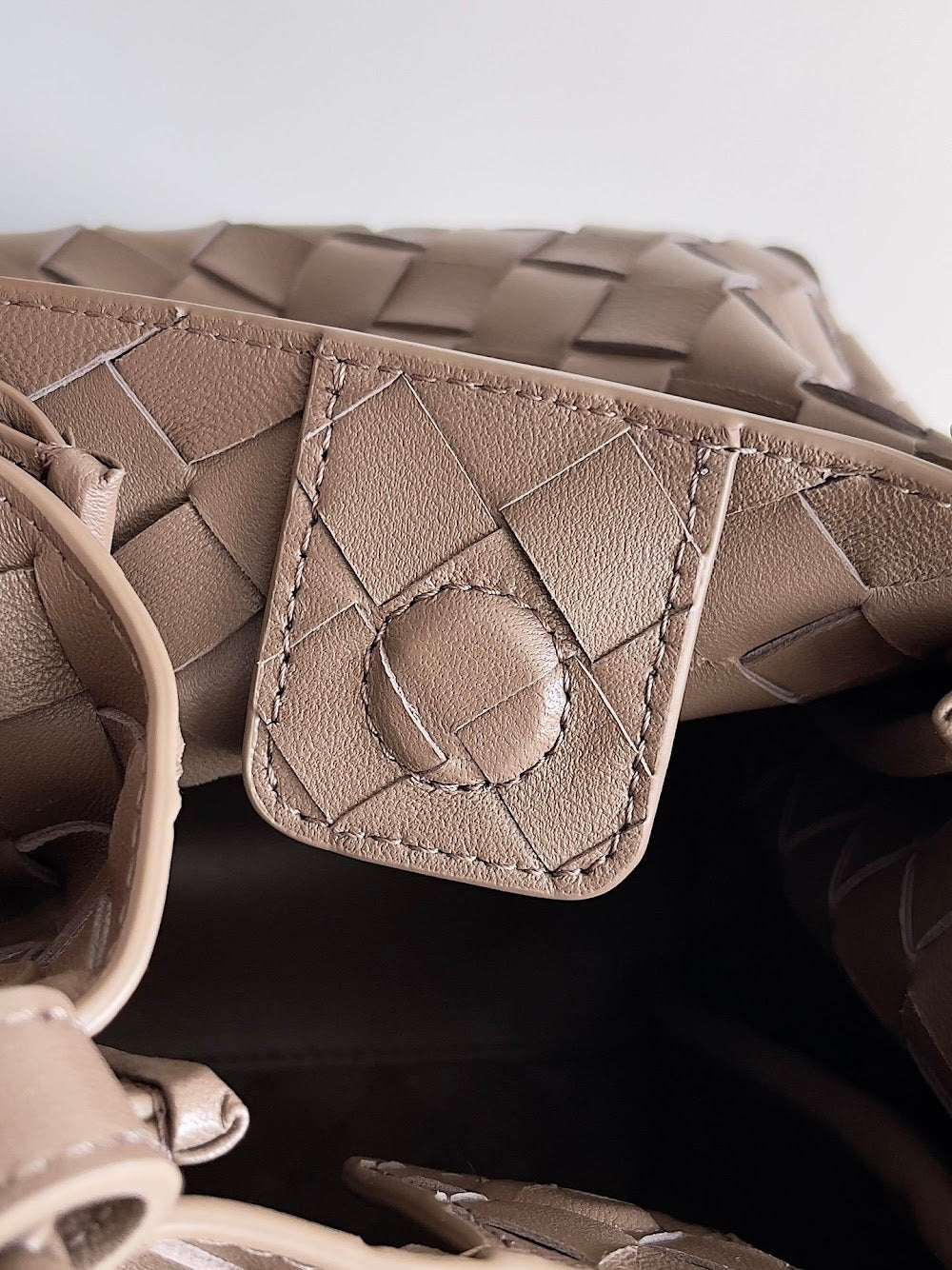 Ezyycart Bags Bottegan Luxury Bag --90962
