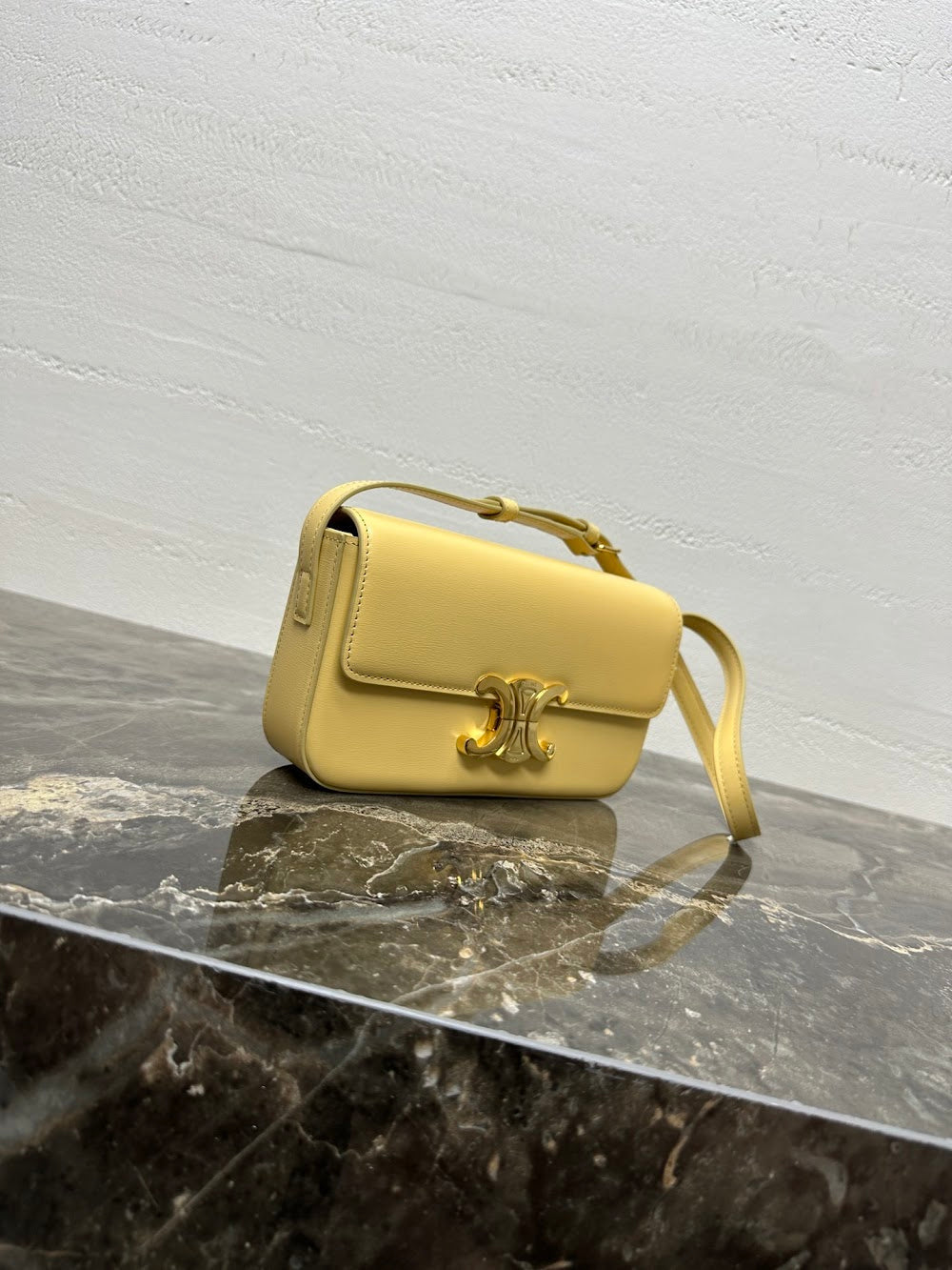 Ezyycart Bags Celine Luxury Bag --112424