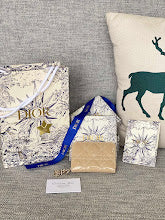 new-designer-premium-bags-nm7545