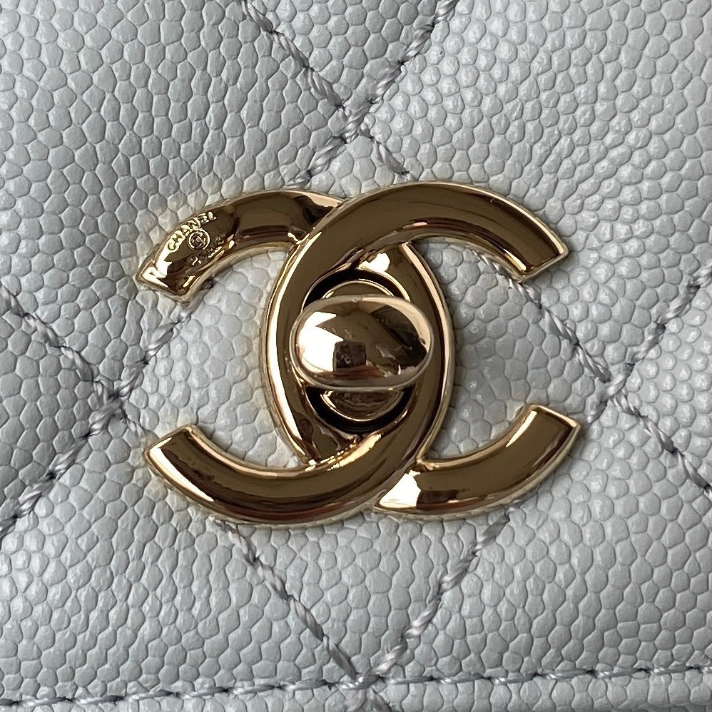new-luxury-designer-bags-nm20350