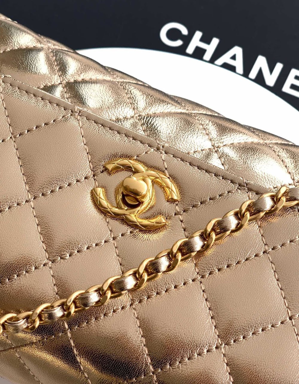 Anum Bags CHn Luxury Bag --113964