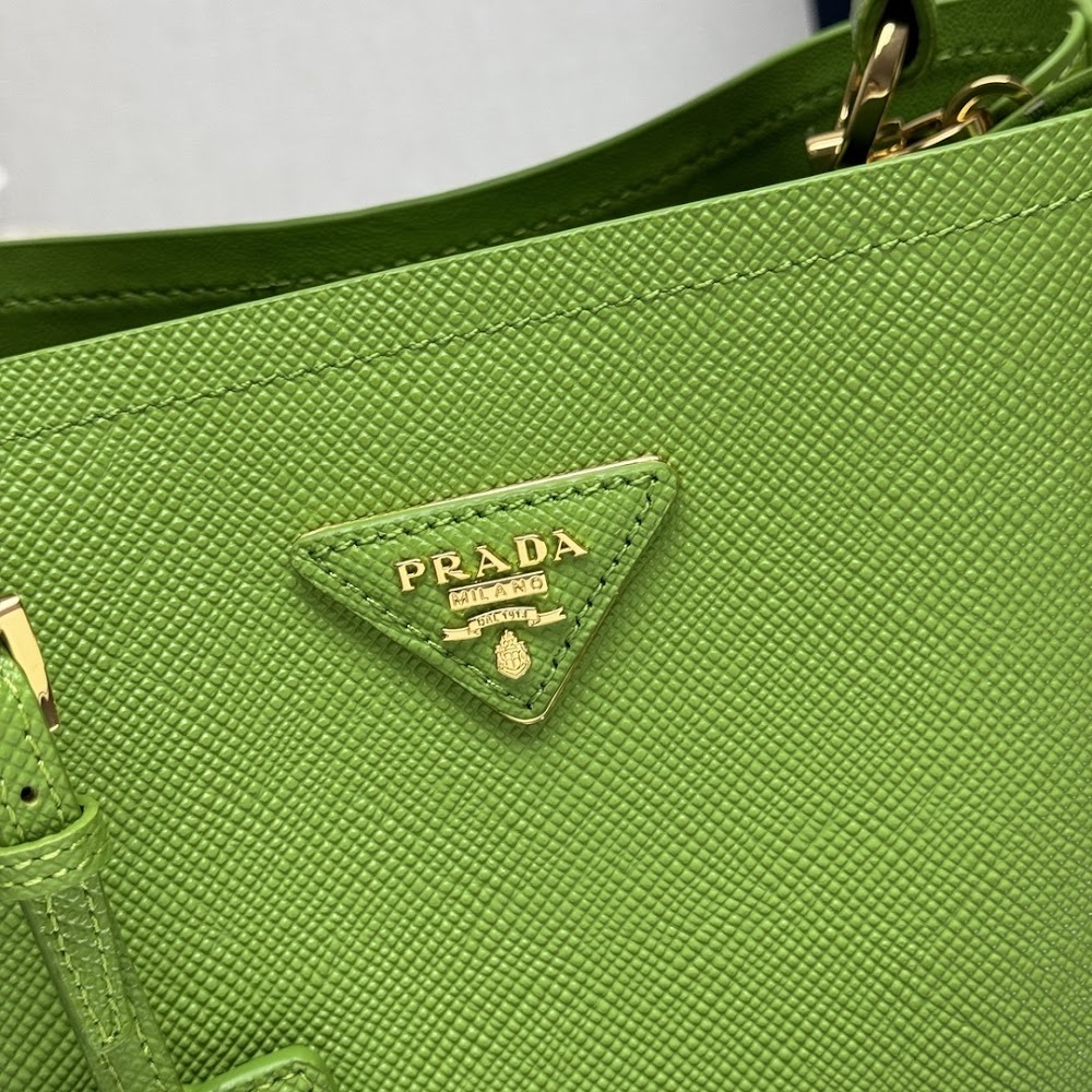 Ezyycart Bags Pradn Luxury Bag --102378