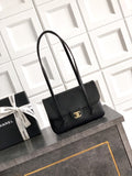 Anum Bags CHn Luxury Bag --113729