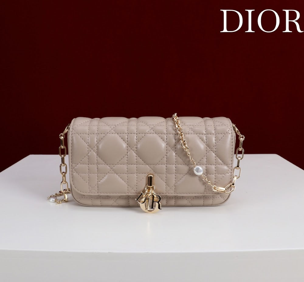 Ezyycart Bags Diorn Luxury Bag --116360