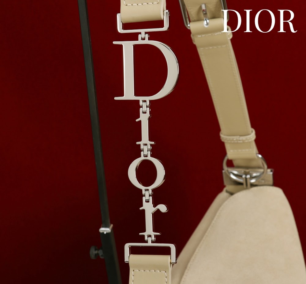 Ezyycart Bags Diorn Luxury Bag --115368