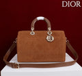 Ezyycart Bags Diorn Luxury Bag --115385
