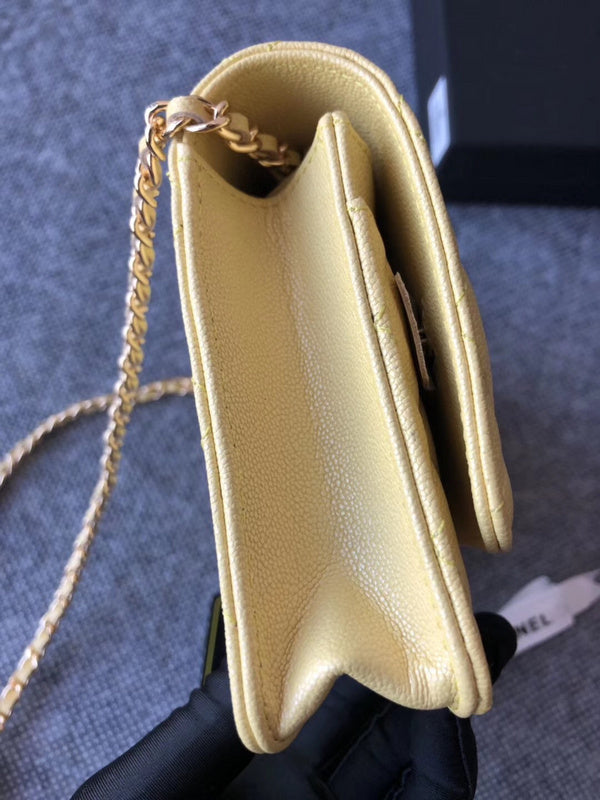 Anum Bags mv - CHL Bags - 701