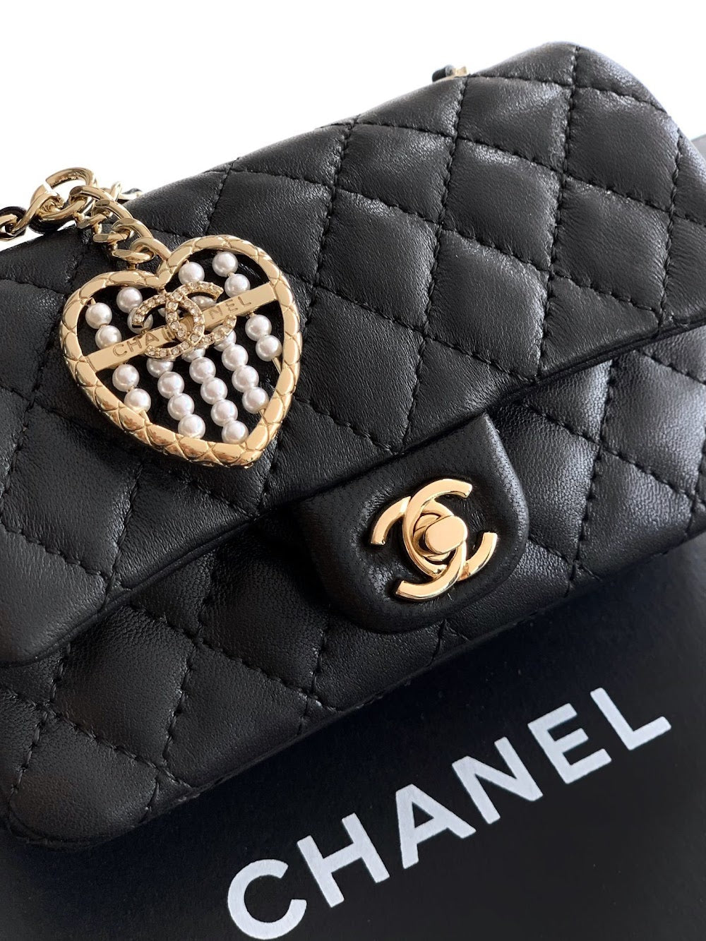 Anum Bags CHn Luxury Bag --112665