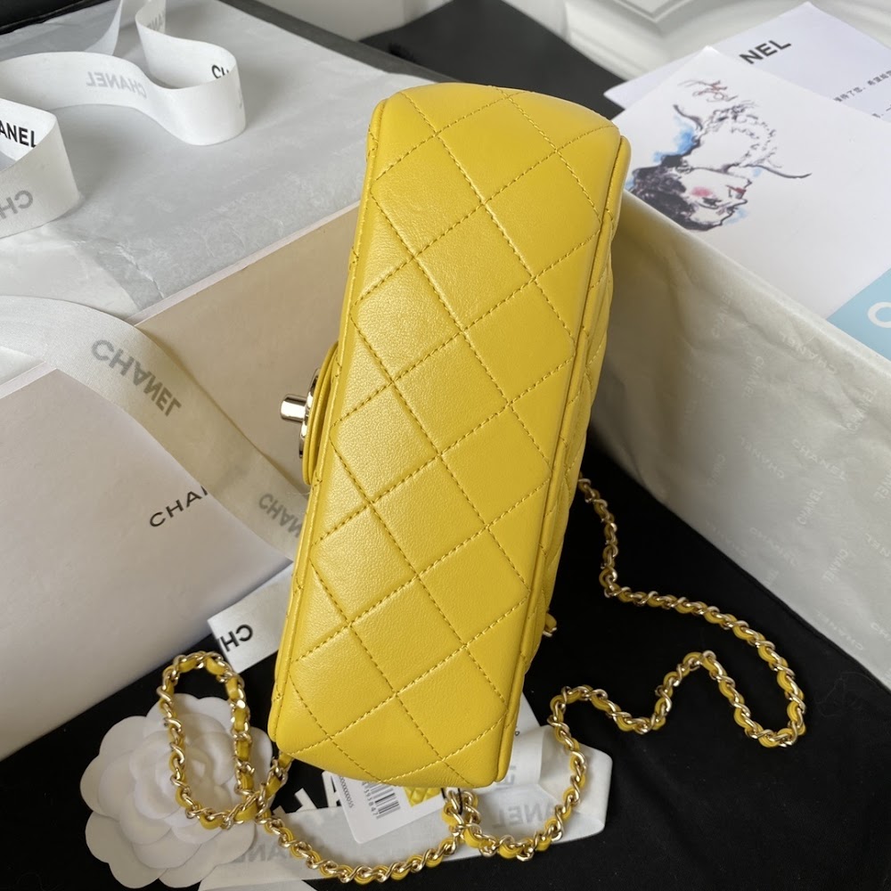 new-luxury-designer-bags-nm10068