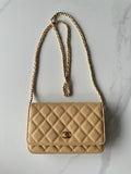 new-luxury-designer-bags-nm20293