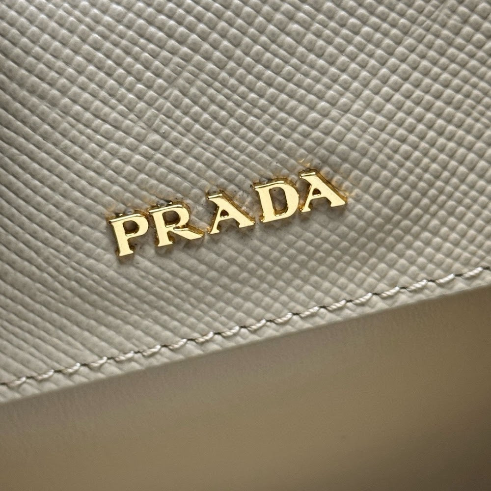 Ezyycart Bags Pradn Luxury Bag --102219