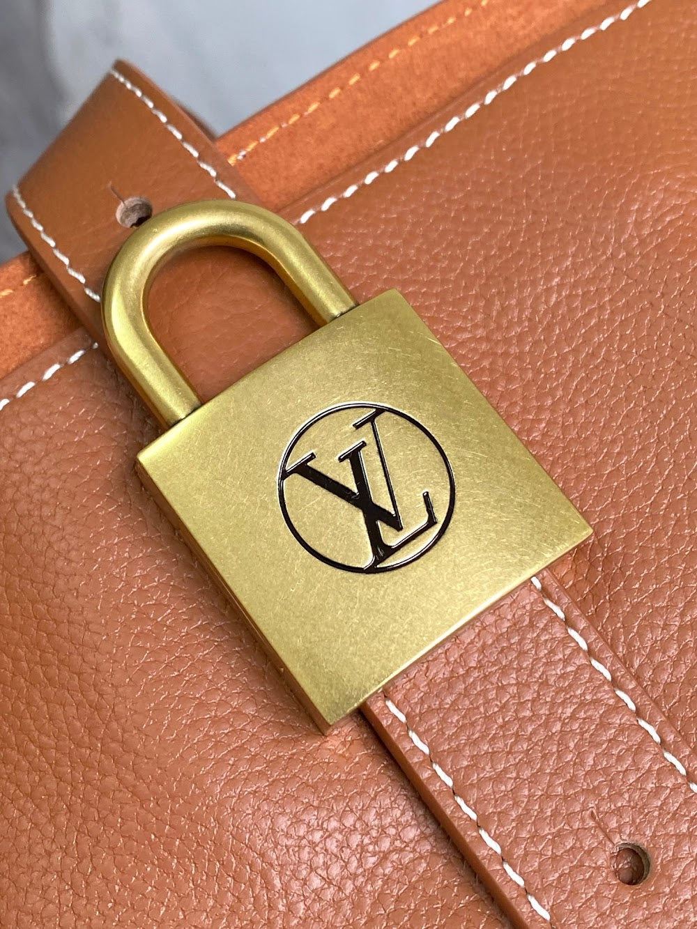 Anum Bags LVn Luxury Bag --80167