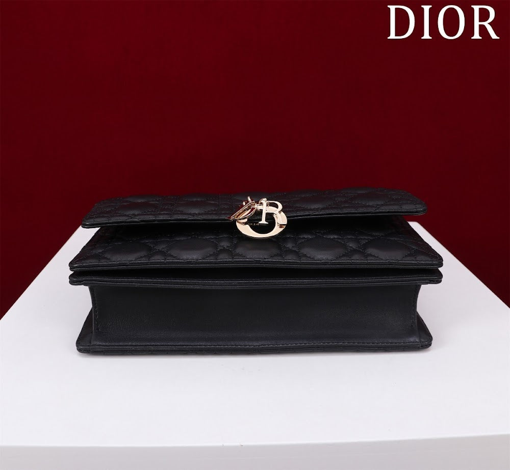 Ezyycart Bags Diorn Luxury Bag --116289